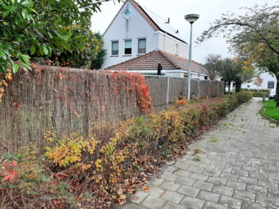 Schutting plaatsen